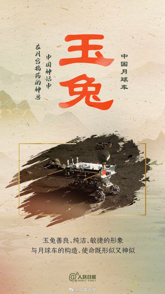 揭秘王中王平特一肖免會公開的奧秘，王中王平特一肖免公開揭秘奧秘