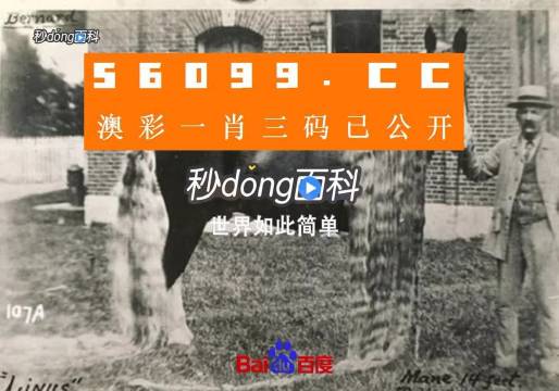 澳門王中王心水王中王，探索與解析，澳門王中王心水奧秘，深度探索與解析