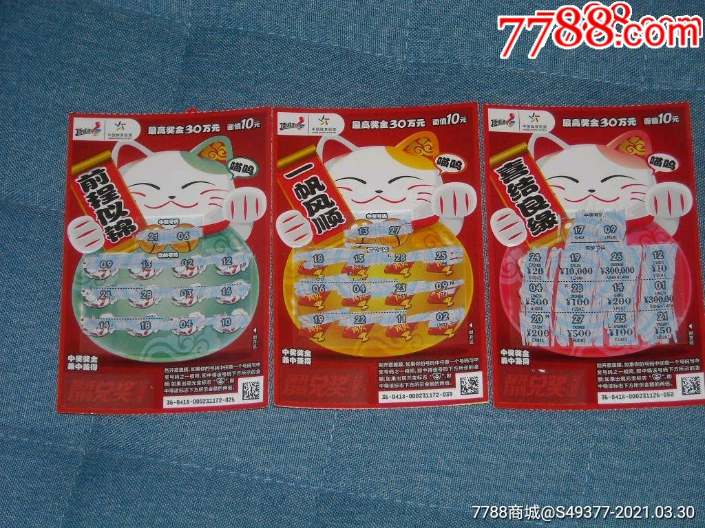 揭秘王中王資料一肖中特y招財貓，真相與秘密，揭秘王中王資料與招財貓，真相與秘密探索