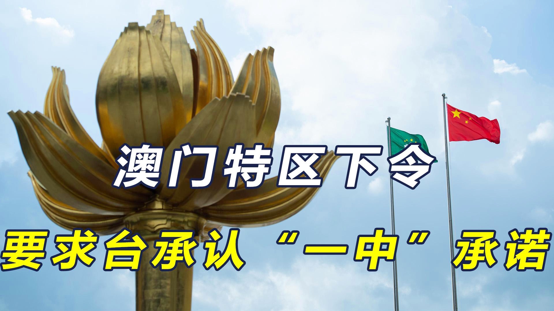 新澳門一碼一肖一特一中準(zhǔn)選今晚之秘與博彩文化深度解析，澳門博彩文化深度解析，今晚一碼一肖一特一中準(zhǔn)選的秘密