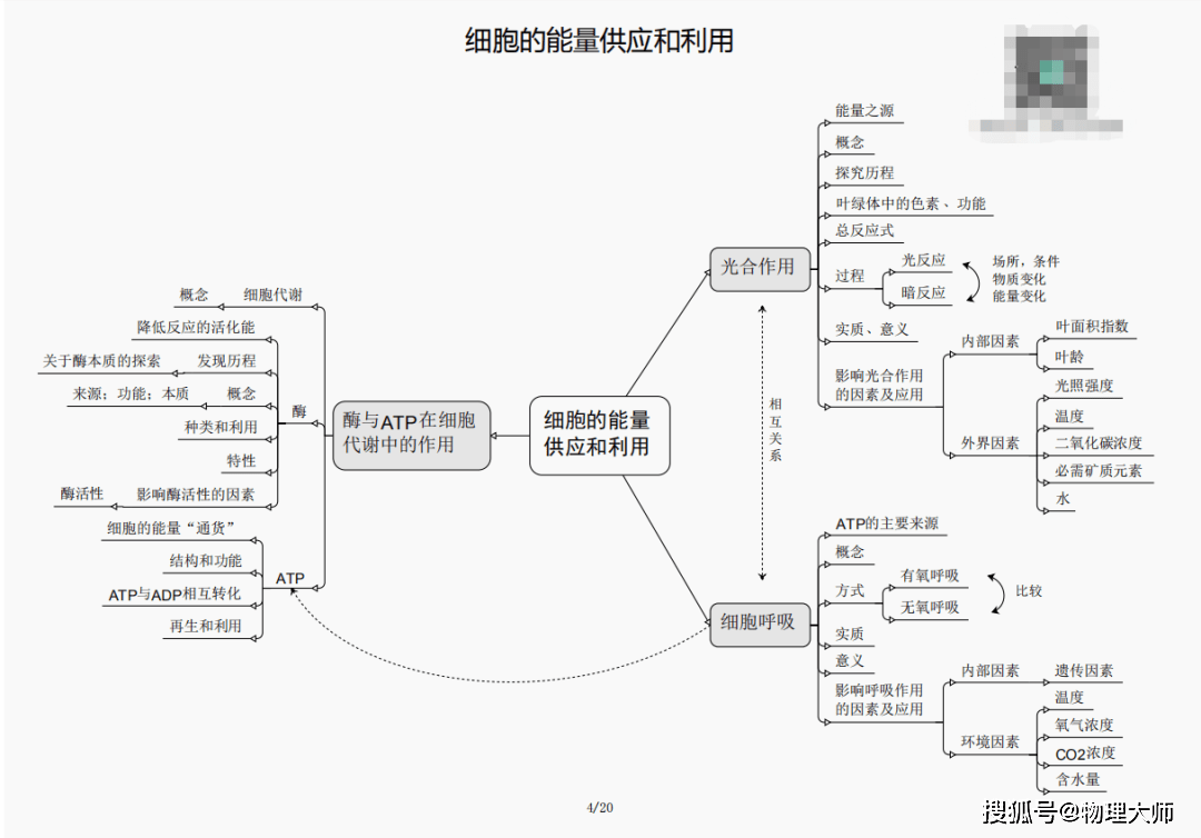 揭秘劉伯溫四肖三期內(nèi)必出一，神秘預(yù)言背后的真相，劉伯溫四肖三期預(yù)言真相揭秘，神秘預(yù)言背后的必然與偶然