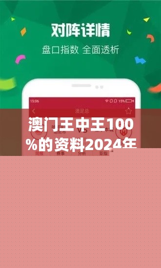 王中王網(wǎng)站一肖，探索與SEO優(yōu)化策略，王中王網(wǎng)站一肖，深度探索與SEO優(yōu)化策略實(shí)踐