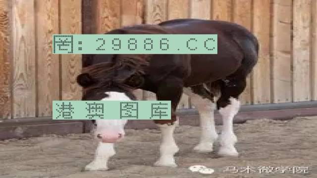 揭秘446999一肖中特馬之秘密，掌握中獎玄機！，揭秘特馬中獎玄機，446999一肖中的秘密大揭秘！