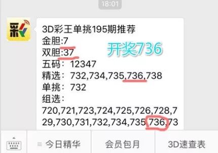 王中王一肖中特4993，深度解析與探索，王中王一肖中特4993深度解析與探索報告