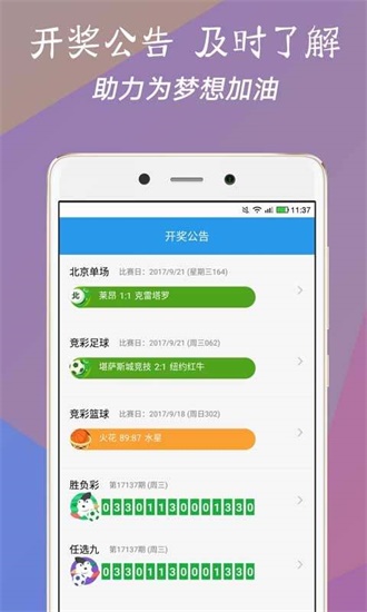 澳門今一必中一肖一碼一肖，揭秘彩票背后的秘密與策略，揭秘彩票背后的秘密與策略，澳門今一必中一肖一碼一肖探秘