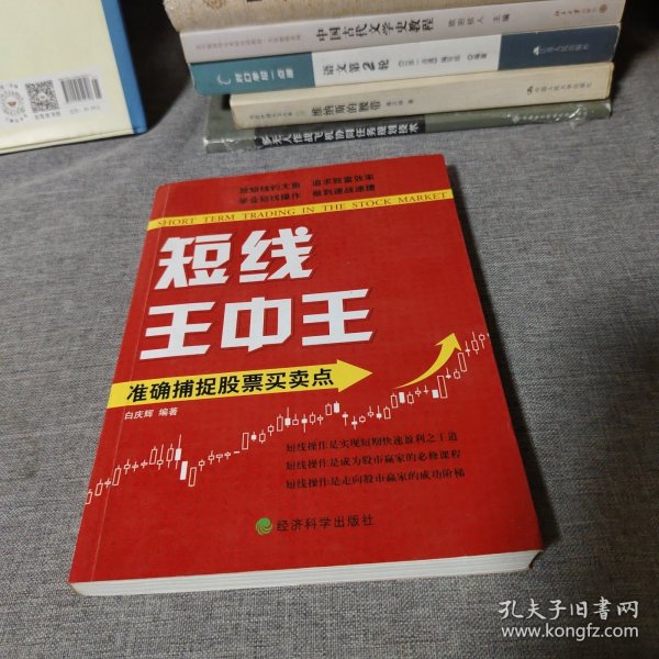 王中王平特一肖中的奧秘與探索，王中王平特一肖的奧秘與探索之旅