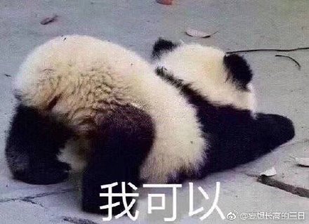 澳門精準四不像最新正版，揭秘與探索，澳門精準四不像揭秘與探索最新正版資訊