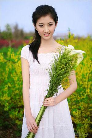 新澳門生肖走勢圖精準(zhǔn)版，解讀與SEO策略，新澳門生肖走勢圖精準(zhǔn)解讀與SEO策略揭秘