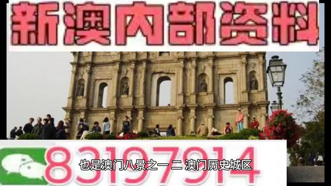 今晚澳門買什么最好？全方位解讀帶你走向勝利之路，澳門今晚買什么最佳？全方位指南引領(lǐng)你走向勝利之路