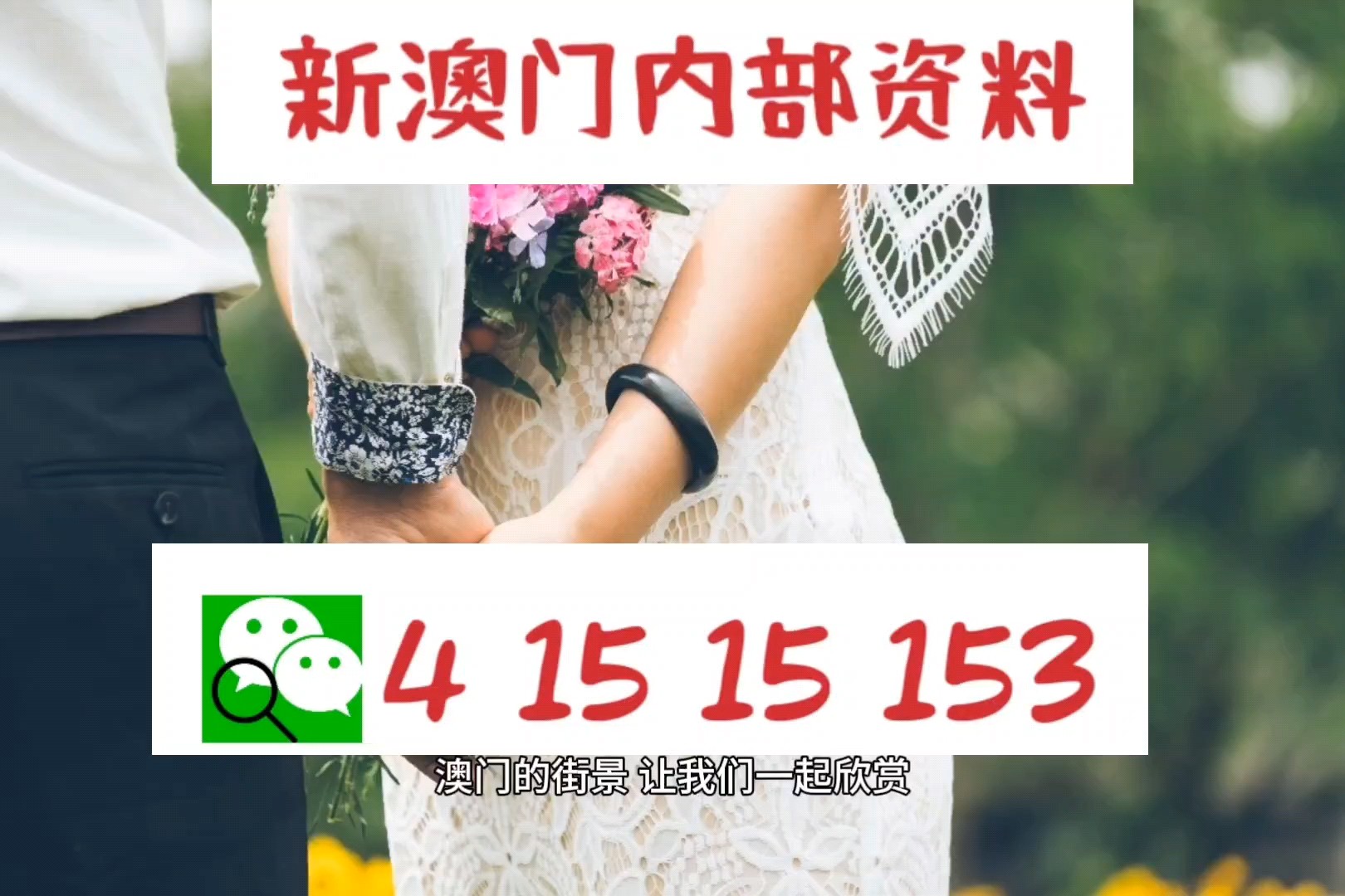 新澳精準(zhǔn)正版資料免費(fèi)，探索與獲取指南，新澳正版資料免費(fèi)探索與獲取指南