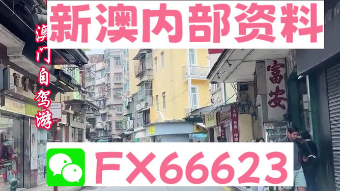 新澳精準(zhǔn)資料免費(fèi)提供，一站式獲取優(yōu)質(zhì)信息資源的指南，新澳精準(zhǔn)資料免費(fèi)獲取，一站式優(yōu)質(zhì)信息資源指南