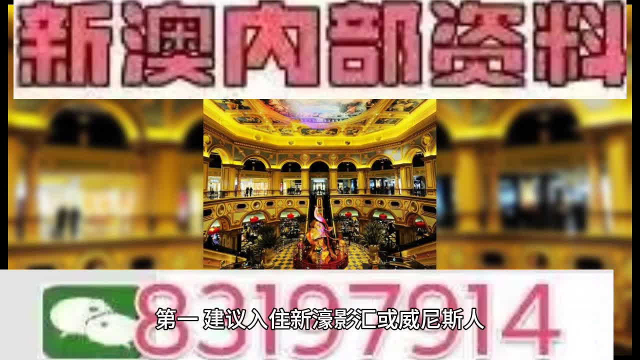 澳門王中王一肖中特馬的奧秘與探索，澳門王中王一肖中特馬的奧秘探索之旅