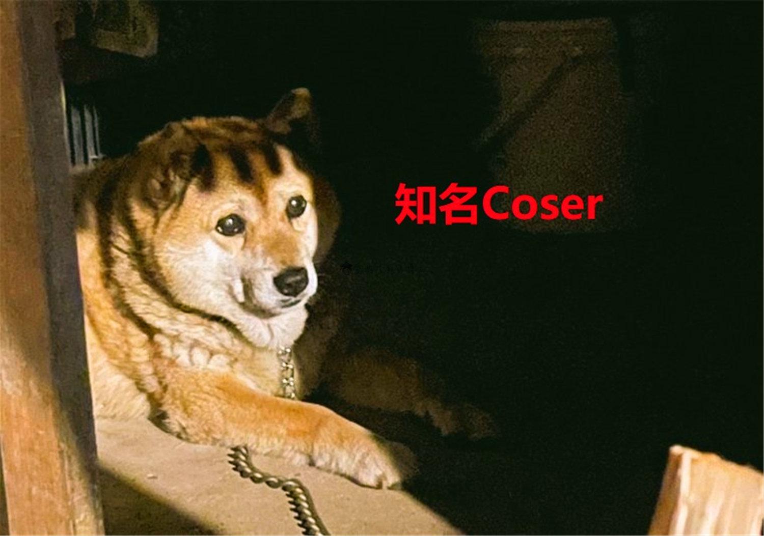 豬狗同行王中王，猜一肖，深度解析與SEO優(yōu)化，豬狗同行王中王猜謎解析與SEO優(yōu)化技巧，深度解析揭秘生肖之謎