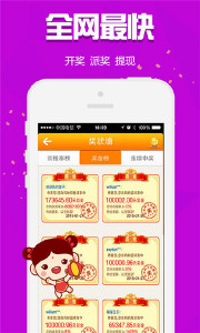 王中王9期指一生肖，揭秘背后的奧秘與意義，王中王9期生肖揭秘，奧秘與意義探究