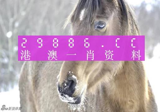 揭秘最準(zhǔn)一肖一碼，探尋神秘的生肖預(yù)測奧秘，揭秘生肖預(yù)測真相，最準(zhǔn)一肖一碼探尋記