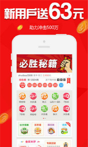 王中王欲錢請猜一肖，揭秘生肖之謎與SEO策略，揭秘生肖之謎與SEO策略，王中王欲錢請猜一肖的奧秘