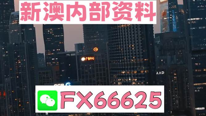 澳門跑狗，探索與解析，澳門跑狗，探索與解析之道