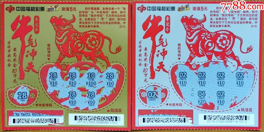 王中王19期指一生肖——探尋背后的奧秘與意義，王中王19期指一生肖，背后的奧秘與意義探尋