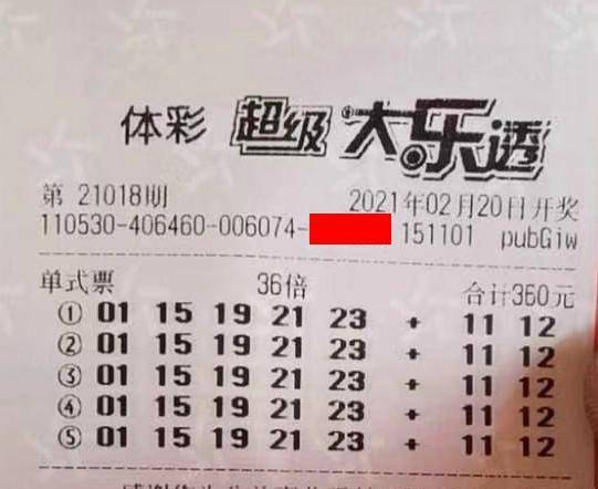 王中王018期指一生肖，揭秘背后的奧秘與意義，揭秘生肖奧秘，王中王生肖背后的意義與秘密