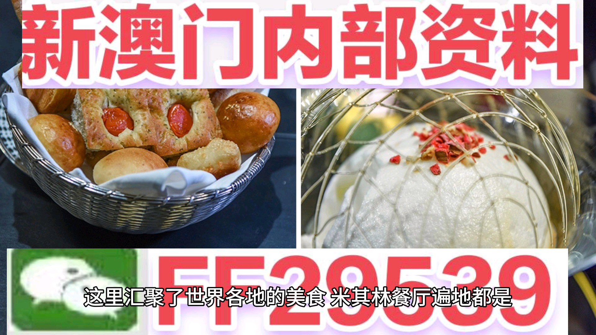 新澳門特肖生肖的奧秘與風(fēng)水文化，澳門生肖奧秘與風(fēng)水文化探索