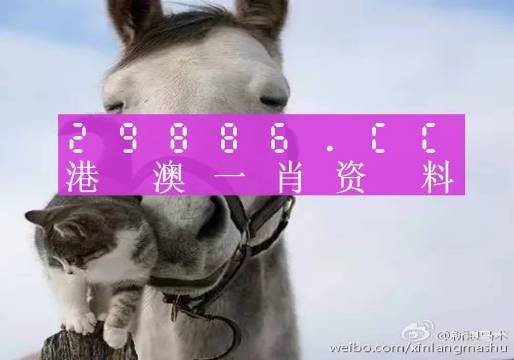 揭秘劉伯溫四肖選一碼的意思——探尋背后的故事與真相，揭秘劉伯溫四肖選一碼背后的真相與故事