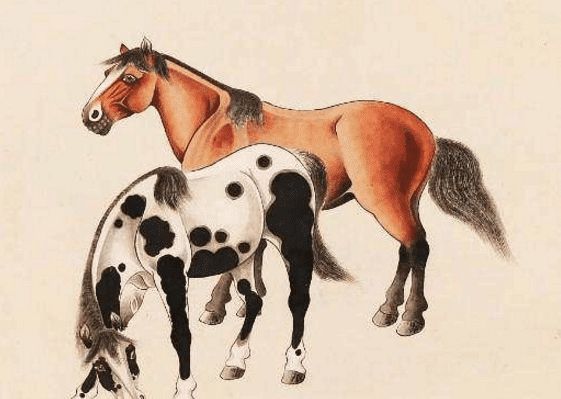 馬一王中王特平一肖圖，深度解析與SEO優(yōu)化策略，深度解析馬一王中王特平肖圖，SEO優(yōu)化策略探討