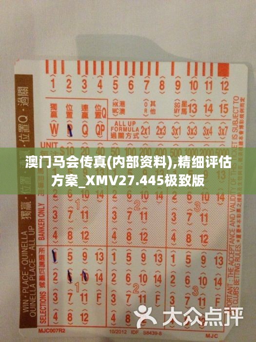 馬會傳真正版，探索正版馬會文化的魅力與價值，正版馬會文化的魅力與價值探索