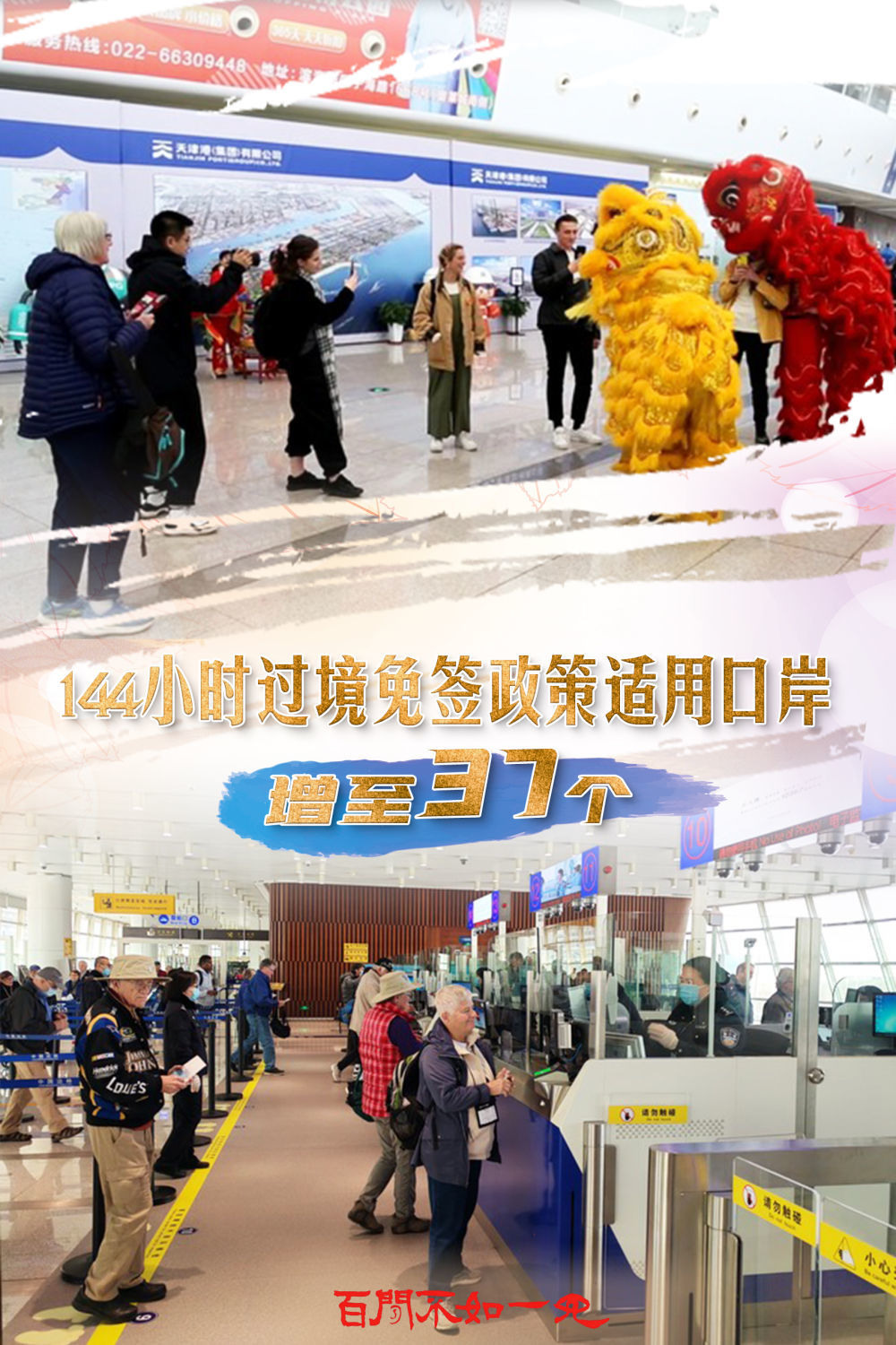 揭秘王中王，一碼一肖一特一中背后的故事，揭秘王中王背后的故事，一碼一肖一特一中傳奇揭秘