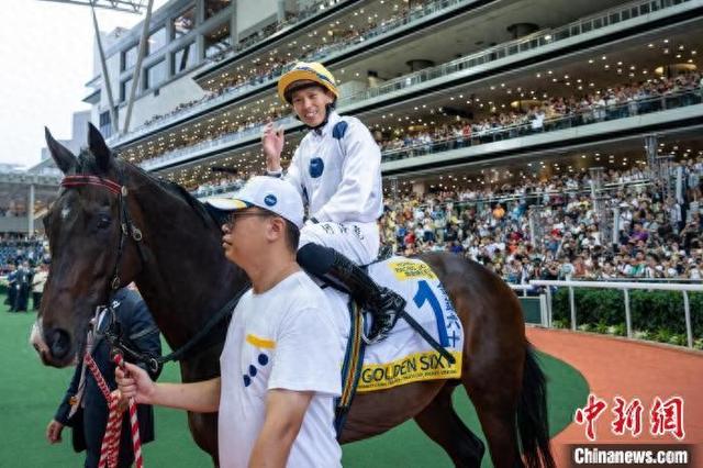 香港特馬王資料免費(fèi)公開，揭秘背后的秘密，香港特馬王資料揭秘，免費(fèi)公開背后的秘密