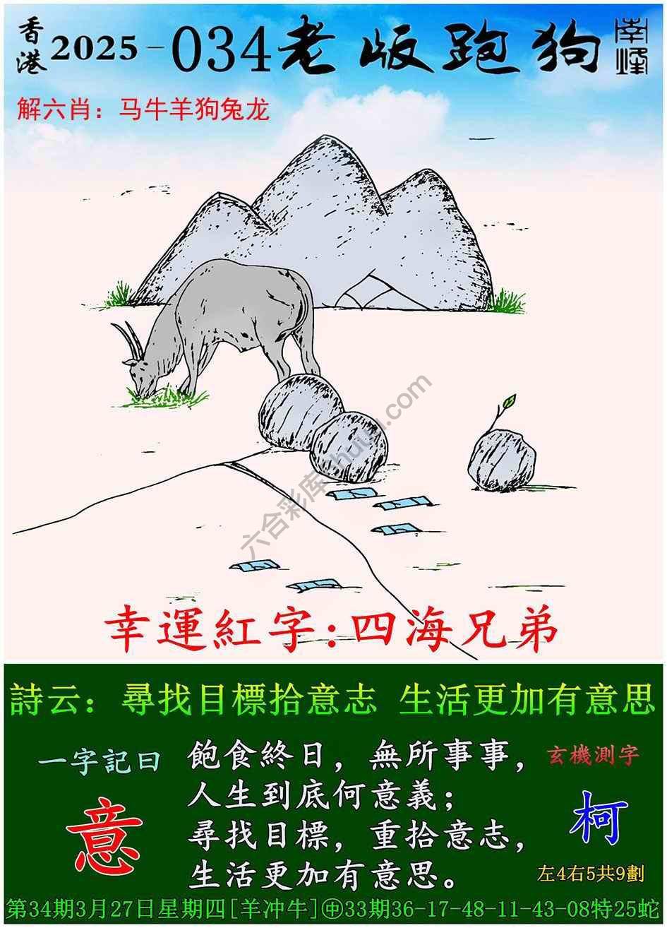 全新升級！探索7777788888新版跑狗資料，全新升級！探索跑狗資料7777788888新版揭秘