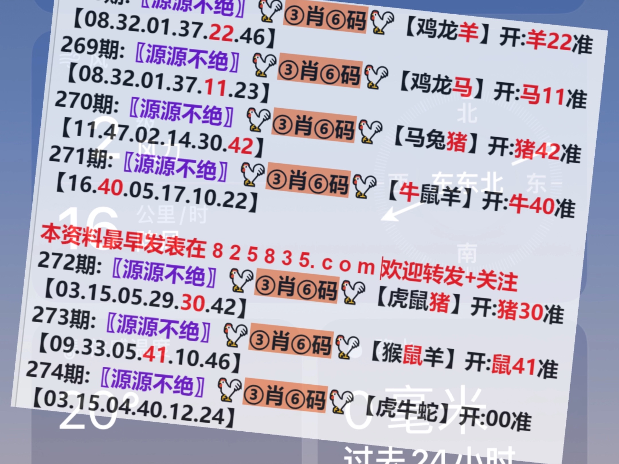 澳門一肖一碼開獎結(jié)果，揭秘彩票背后的秘密，澳門彩票開獎結(jié)果揭秘，一肖一碼背后的秘密
