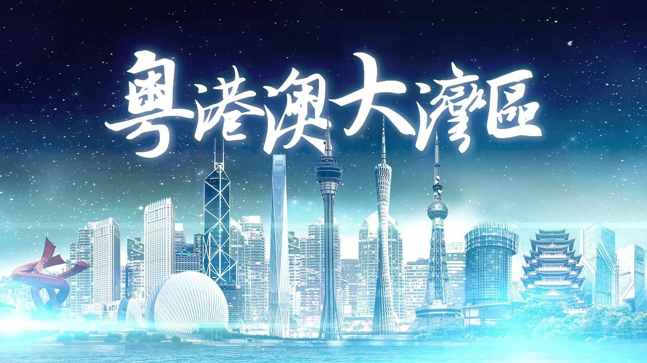 2025年香港正版免費(fèi)資料全面解析，香港正版免費(fèi)資料全面解析（2025版）