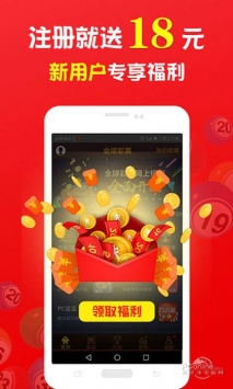 王中王一肖中打一，深度解析一種獨(dú)特的文化現(xiàn)象，王中王一肖中打一，獨(dú)特文化現(xiàn)象的深度探究