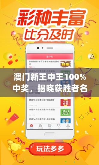 王中王藏寶閣猜一肖，揭秘背后的秘密與SEO策略，王中王藏寶閣猜一肖背后的秘密與SEO策略揭秘
