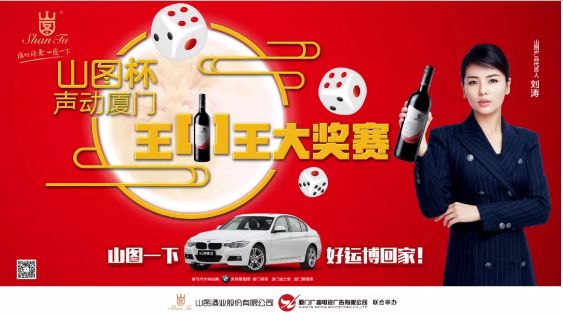 揭秘王中王背后的故事，從肖中的視角看其在SEO領域的輝煌成就，肖中視角下的王中王，SEO領域的輝煌成就揭秘