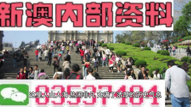澳門最精準(zhǔn)免費(fèi)資料大全旅游團(tuán)，探索澳門之旅的完美選擇，澳門最精準(zhǔn)免費(fèi)資料大全旅游團(tuán)，探索澳門之旅的不二之選