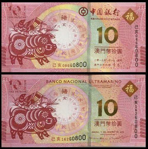 澳門(mén)天天彩期期精準(zhǔn)十二生肖預(yù)測(cè)——揭秘彩票背后的秘密，澳門(mén)天天彩期期精準(zhǔn)十二生肖預(yù)測(cè)，彩票背后的秘密大揭秘