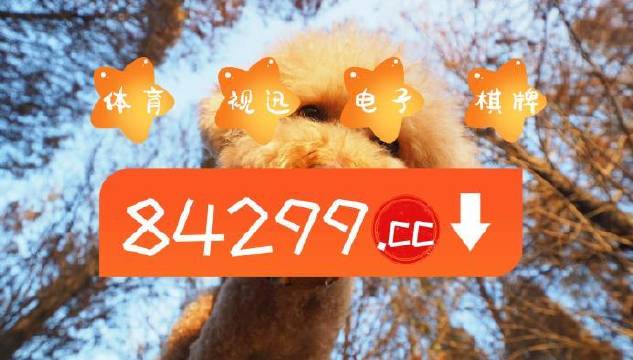 今期必中一肖一碼白小姐，揭秘彩票背后的秘密與策略，揭秘彩票背后的秘密與策略，白小姐今期必中一肖一碼解析