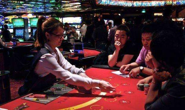 澳門金牛王中王一肖，探索背后的神秘與魅力，澳門金牛王中王一肖，神秘魅力背后的探索