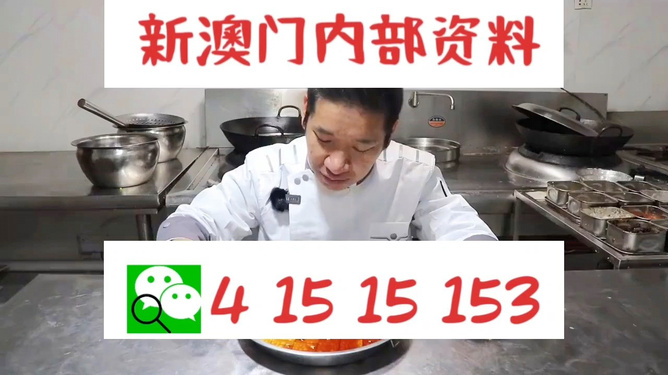 管家婆一肖資料大全，深度解析與探索，管家婆一肖資料深度解析與探索大全