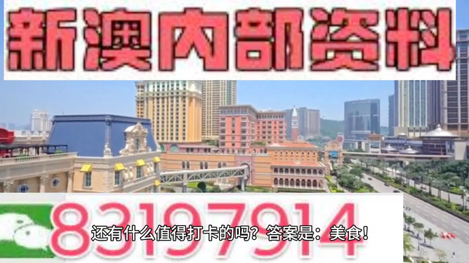 澳門免費精準資料，探索204年的秘密與機遇，澳門204年秘密與機遇探索，免費精準資料揭秘