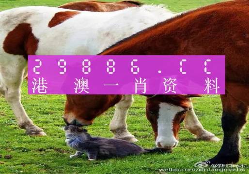 新奧門(mén)一肖一碼，揭秘精準(zhǔn)預(yù)測(cè)的秘密，揭秘新澳門(mén)一肖一碼精準(zhǔn)預(yù)測(cè)的秘密