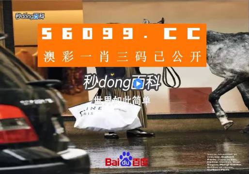 新澳一碼三中三資料，探索與解析，新澳一碼三中三資料解析與探索