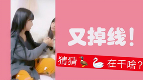 王中王欲錢詩猜一肖，王中王欲錢詩暗示的生肖之謎