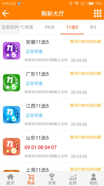 王中王資料一肖一特，深度解析與探索，王中王資料一肖一特，深度解析與探索揭秘