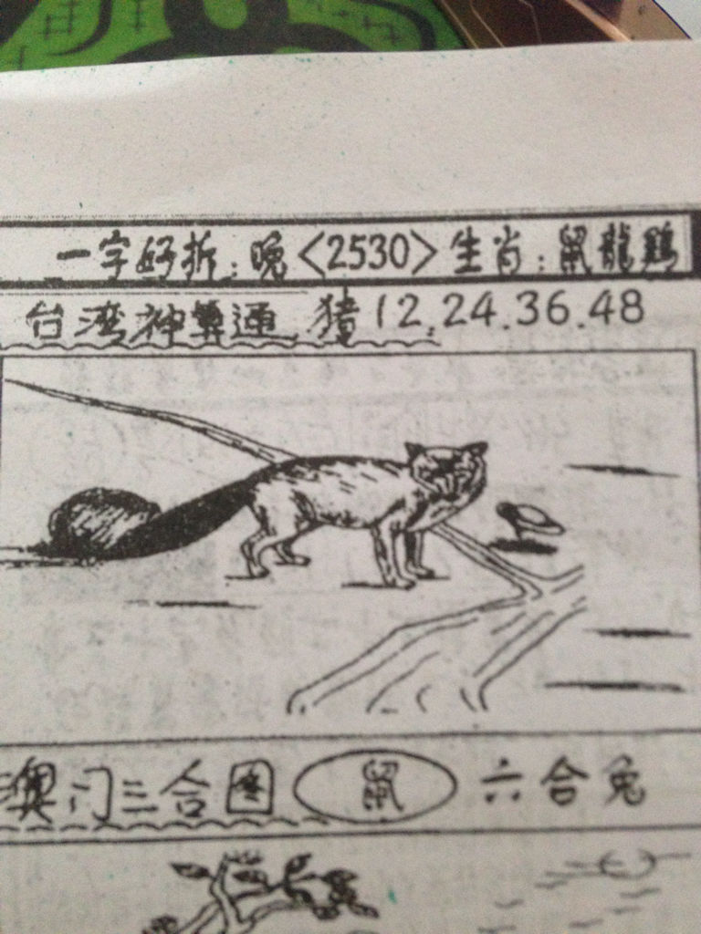 揭秘生肖奧秘，看圖猜一生肖劉伯溫的傳奇故事，揭秘生肖奧秘，劉伯溫傳奇故事中的生肖之謎探索