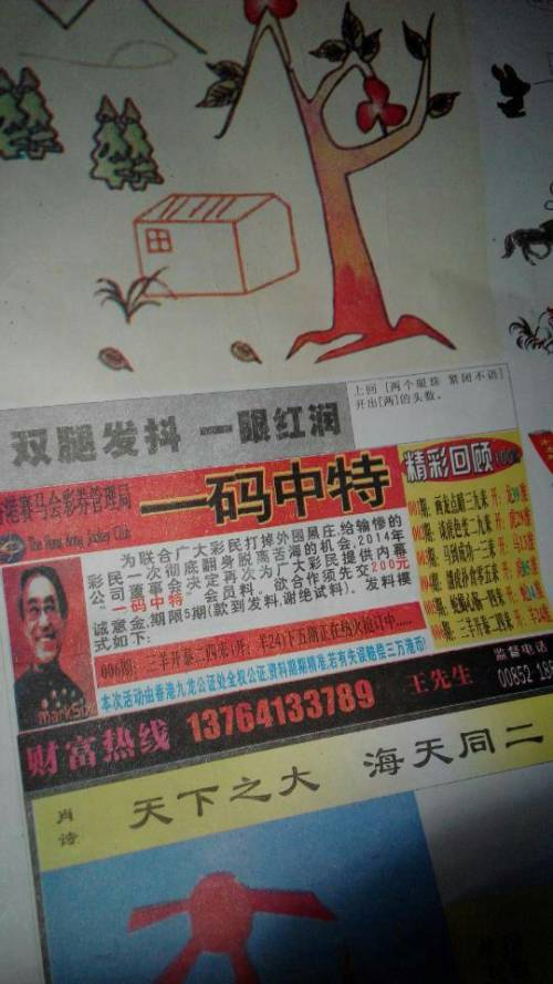 欲錢詩猜一肖——探尋王中王的奧秘，探尋王中王的奧秘，欲錢詩猜一肖