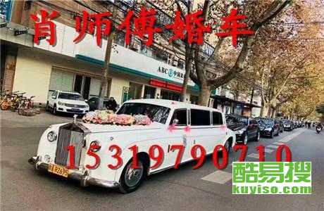 王中王車奪平特一肖免費——深度解析與探索，王中王車奪平特一肖，深度解析與免費探索
