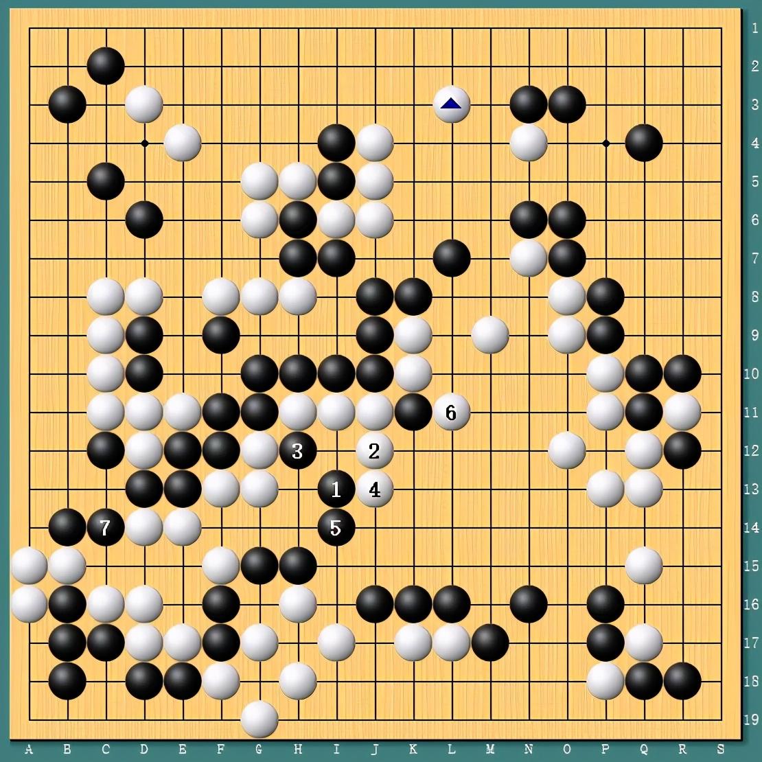 王中王四肖一碼資料論壇，探索與解析，王中王四肖一碼資料論壇，深度探索與解析