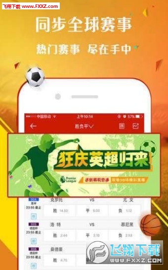 王中王一肖，歡迎您的到來，探索無與倫比的精彩世界，王中王一肖，探索無與倫比的精彩世界之旅